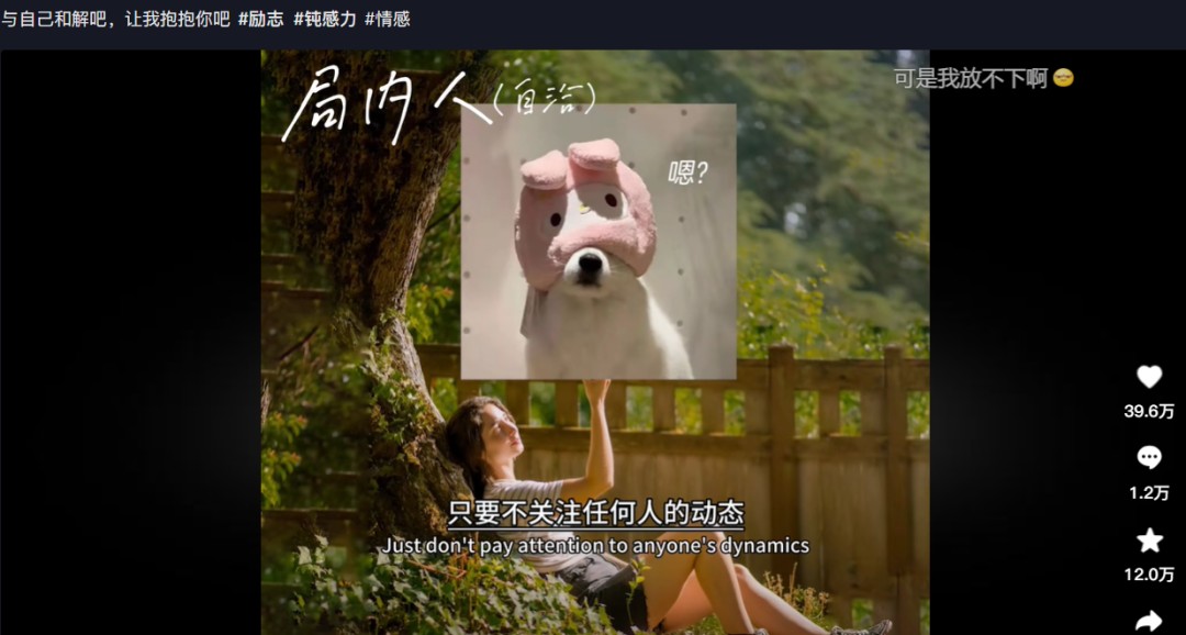 201455biy4su4ic49shhbl.jpg
