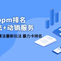 ����/opm����/�����淨+�������񣬶�����Ʒ��oPM�㷨�����淨 ����������