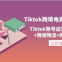 Tiktok�羳����ͨ��֤2.0��Tiktok�˺���Ӫ+�羳֧��+�羳����+�羳ֱ����