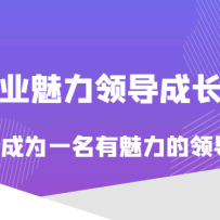 ��ֵ618Ԫ������ҵ�����쵼�ɳ���Σ���γ�Ϊһ�����������쵼�ߣ���ˮӡ