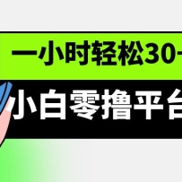 С����ߣƽ̨��Ŀ��һСʱ����30+