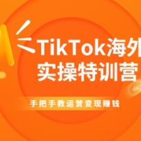 TikTok������ʵ����ѵӪ���ְ��ֽ���Ӫ����׬Ǯ����Ƶ�γ̡�