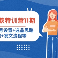 С���鱬����ѵӪ11�ڣ����趨λ+�˺�����+ѡƷ˼·+���ս̳�+�������̵�