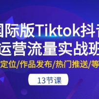 ���ʰ�Tiktok������Ӫ����ʵս�ࣺ�˺Ŷ�λ/��Ʒ����/��������/�ȵȣ�13��