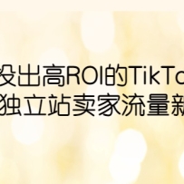 ���Ͷ����ROI��TikTok��棬���ض���վ��������������