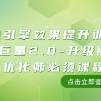 �������桤Ч������ѵ��Ӫ������2.0-�����棬�Ż�ʦ����γ̣�111�ڿΣ�