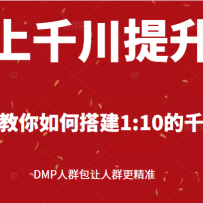 ����ǧ�������Σ��ְ��ֽ�����δ1:10��ǧ���ƻ� DMP��Ⱥ������Ⱥ����׼