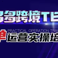 ƴ���羳TEMU������Ӫʵ����ѵ�� ����ƴ����ѡƷ����Ӫ������