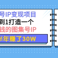 ͼ����IP������Ŀ����0��1����һ����׬Ǯ��ͼ����IP ����׬��30W