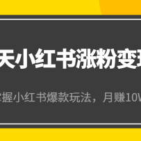 21��С�����Ƿ۱���Ӫ����4�ڣ�����������С���鱬���淨����׬10W+����