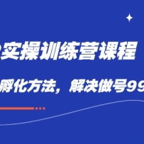 ����IPʵսѵ��Ӫ�γ̣�������IP�����������������99%������