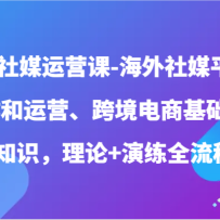 ������ý��Ӫ��-������ýƽ̨��������Ӫ���羳���̻���ʵ��֪ʶ������+����