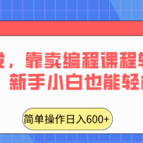 ȫ���׷���������̿γ���������600+������С��Ҳ����������