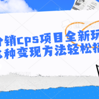 �̾����cps��Ŀȫ���淨���������ֱ��ַ������ɸ���