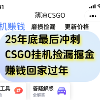 ��CSGO��Ϸ�һ���©���׬Ǯ���һ���ֻ���������500+