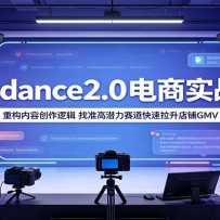 Seedance2.0����ʵսӪ���ع����ݴ����߼�����׼��Ǳ������������������GMV