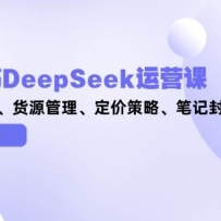 С����DeepSeek��Ӫ�Σ�ѡƷ���ɡ���Դ���������۲��ԡ��ʼǷ�������