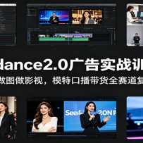 Seedance2.0���ʵսѵ��Ӫ��AI��ͼ��Ӱ�ӣ�ģ�ؿڲ�����ȫ��������