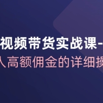 ��������Ƶ����ʵս�������棬ʵ�ֵ��˸߶�Ӷ�����ϸ��������