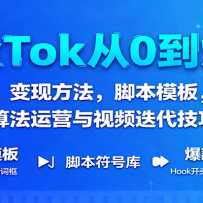 TikTok��0�����������ַ������ű�ģ�壬�㷨��Ӫ����Ƶ��������
