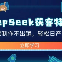 DeepSeek�����ѵӪ����Ƶ�����������������ղ�������