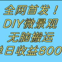 ȫ���׷�����������DIY΢���ۣ����԰�����Ƶ��������800+