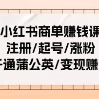 С�����̵�׬Ǯ�Σ�ע��/���/�Ƿ�/��ͨ�ѹ�Ӣ/����׬Ǯ��25�ڿΣ�