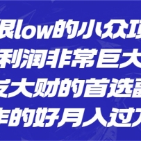 һ����low��С����Ŀ��������ǳ��޴���������Ƶ���ѡ��ҵ�������ĺ���