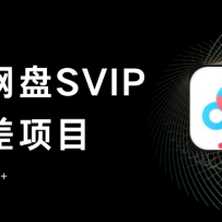 �ٶ�����SVIP��Ϣ����Ŀ,0Ͷ��С�׼�������,�ֻ��ȶ�����300+