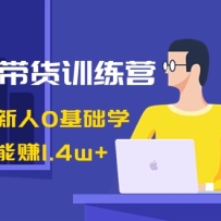 AIͼ�Ĵ���ѵ��Ӫ��������������0����ѧ������ͼ����׬1.4w+