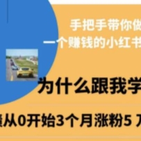 С�����������ѵ��Ӫ���ְ��ִ�����һ��׬Ǯ��С�����˺�