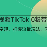 ����ƵTikTok 0�۴��������ٴ������֡��������淨���޻�Դ�淨