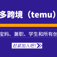 ƴ���羳��temu���γ̣��ʺϱ��衢��ְ��ѧ�������д�ҵ��