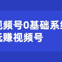 ��Ƶ��0����ϵͳ����׬��Ƶ��������Ӫ+����+���ٱ��֣�20�ڿΣ���ˮӡ