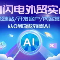 AI��������óʵս����ó��վ/�����ͻ�/����Ӫ��/��0��3����óAI�����£�
