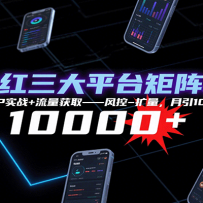 ���������ƽ̨������Ӫ��12СʱSOPʵս+������ȡ-���-����������10000+��