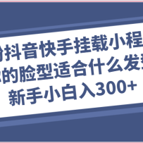 0�۶������ֹ���С������������ʺ�ʲô�����淨������С������300+