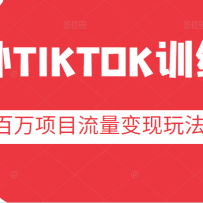 ����TIKTOKѵ��Ӫ��������Ŀ����涶��tiktok���������淨