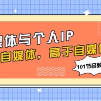 ��ý�������IP��ʼ����ý�壬������ý�壨101����Ƶ+���ϣ�