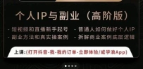 ����IP�븱ҵ���߽װ棩����Ƶ��ֱ���������-��ͨ����β���׬Ǯ��