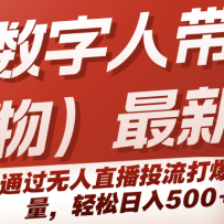 ���������˴�������������淨��ͨ������ֱ��Ͷ������������������500+