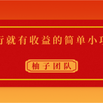 ִ�о�������ļ�С��Ŀ��������Ϣ��ʵ������300+��Ƶ�γ�