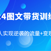 2024ͼ�Ĵ���ѵ��Ӫ����ͨ��ʵ����Ϯ������+�������루87�ڿΣ�