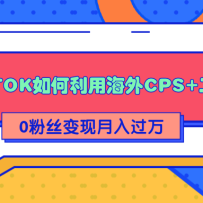 ��ϸ����TIKTOK������ú���CPS+����0��˿���ɱ����������