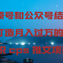 ��Ƶ�ź͹��ںŽ�ϴ�����������С˵cps������Ŀ��������������ĸ���˼
