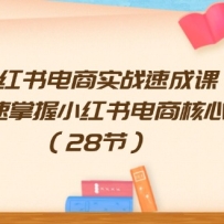 С�������ʵս�ٳɿΣ������������С������̺��ļ��ܣ�28�ڣ�