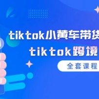 tiktokС�Ƴ�������Ƶ�̳̣�tiktok�羳���̣�ȫ�׿γ̣�