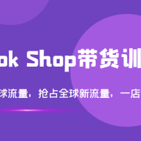 TikTok Shop����ѵ��Ӫ����ȫ����������ռȫ����������һ����ȫ�򣨵�14