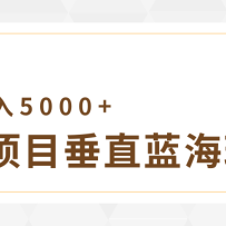4��������Ŀ��ֱ�淨�����ű�Ʒ+��ֱ��������������5000+