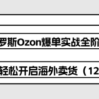 ����˹Ozon����ʵսȫ����ϵ�Σ���������ɿ�������������12�ڿΣ�